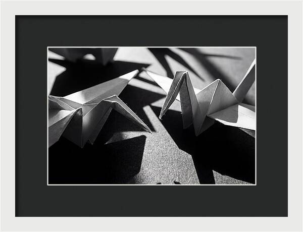 Folding Shadows