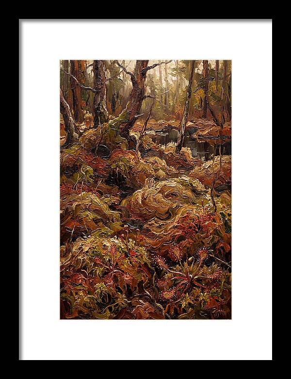 Forest Bog With Sphagnum Moss