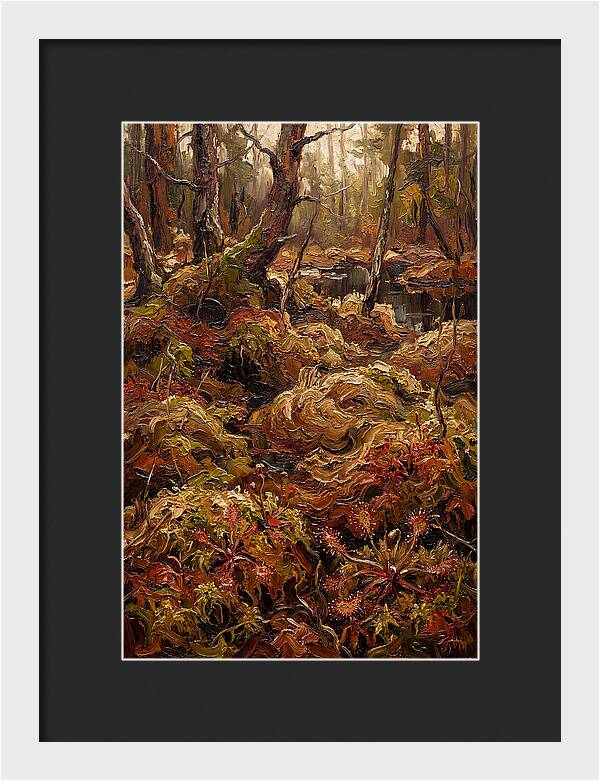 Forest Bog With Sphagnum Moss