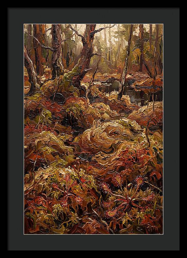 Forest Bog With Sphagnum Moss