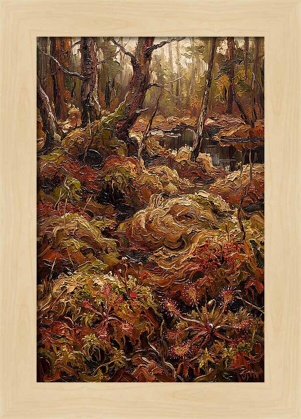 Forest Bog With Sphagnum Moss