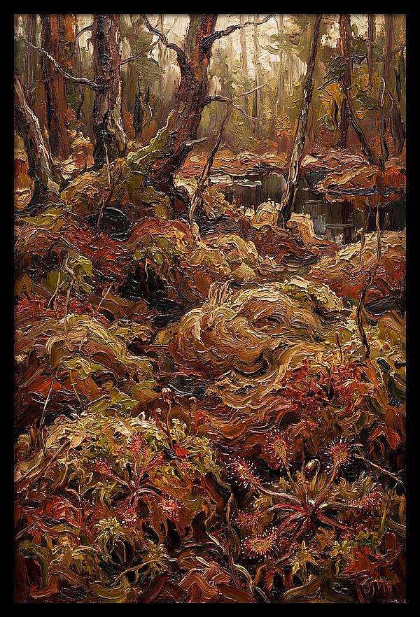 Forest Bog With Sphagnum Moss