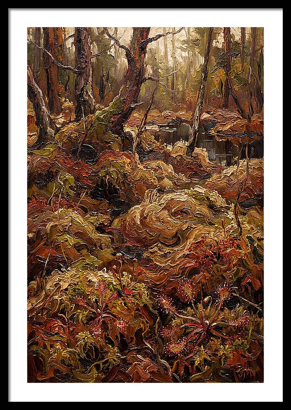 Forest Bog With Sphagnum Moss