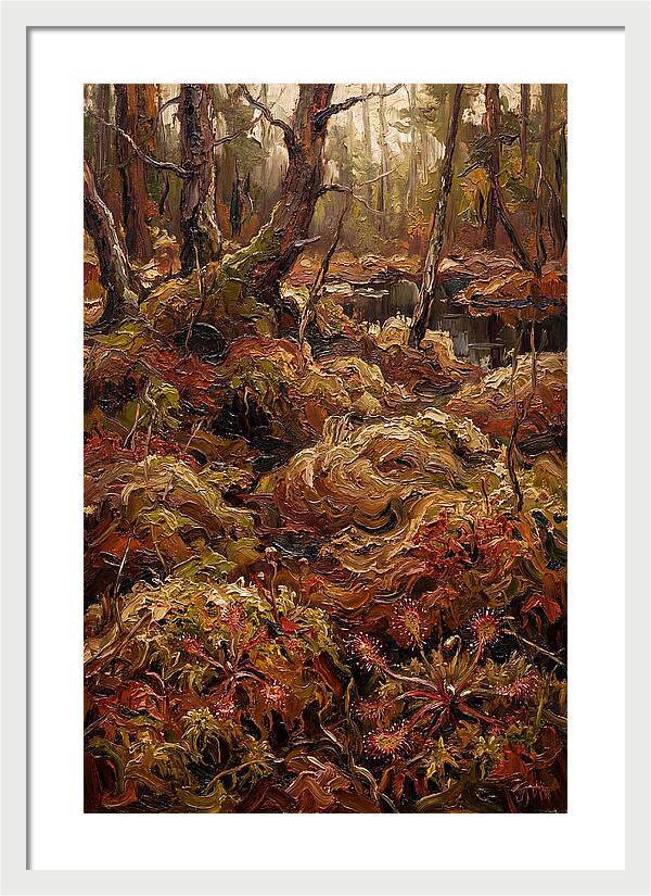 Forest Bog With Sphagnum Moss