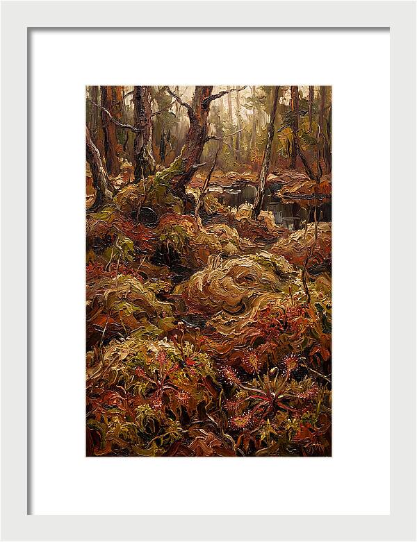 Forest Bog With Sphagnum Moss