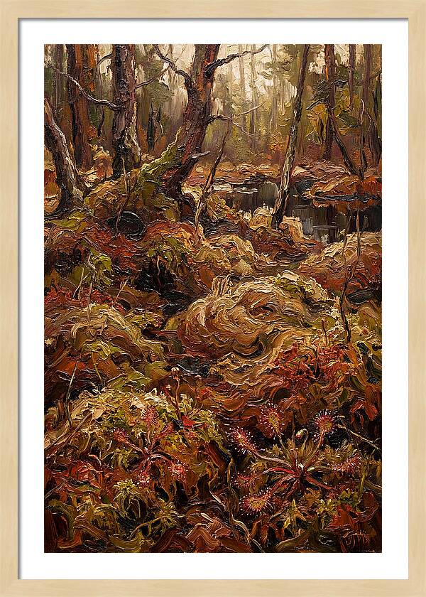 Forest Bog With Sphagnum Moss