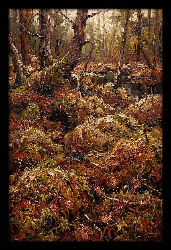Forest Bog With Sphagnum Moss