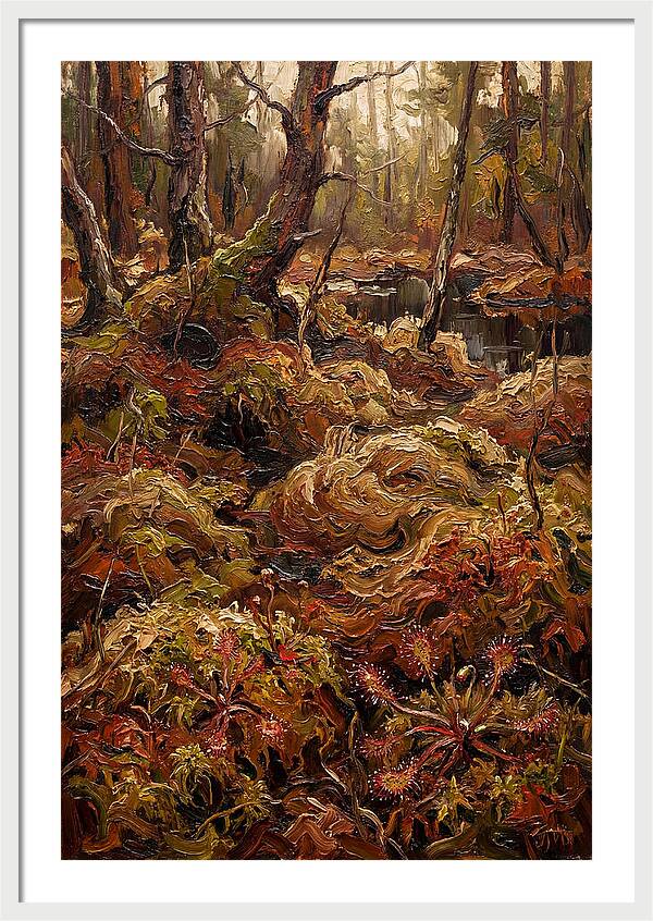 Forest Bog With Sphagnum Moss