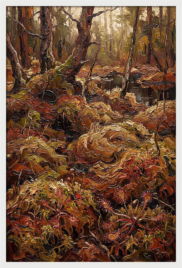 Forest Bog With Sphagnum Moss