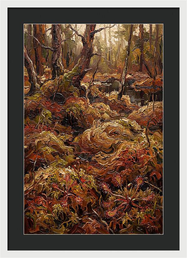 Forest Bog With Sphagnum Moss