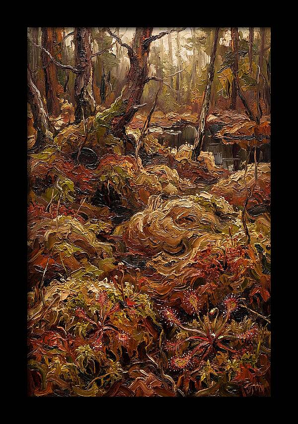 Forest Bog With Sphagnum Moss