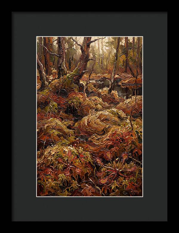 Forest Bog With Sphagnum Moss