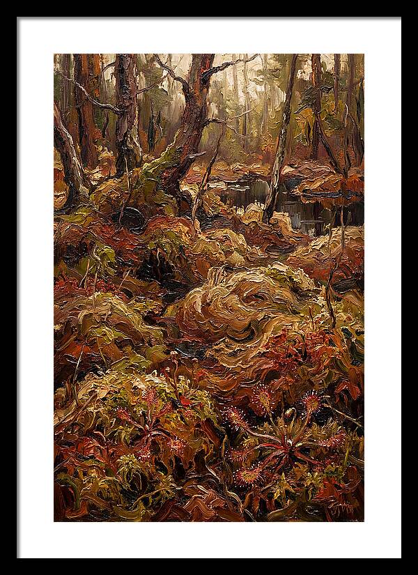 Forest Bog With Sphagnum Moss