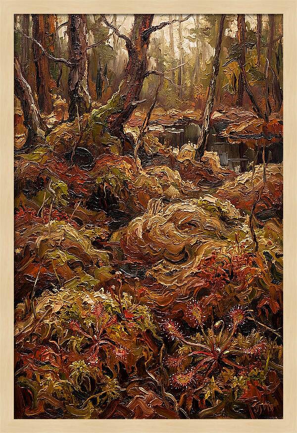 Forest Bog With Sphagnum Moss