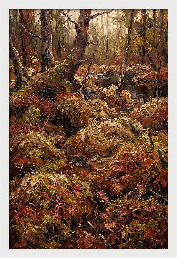 Forest Bog With Sphagnum Moss