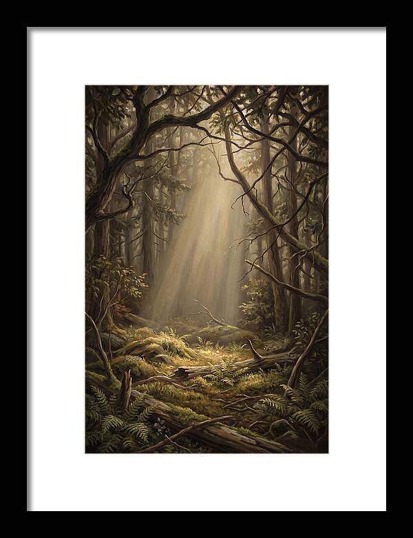 Forest Clearing With Shaft Of Light
