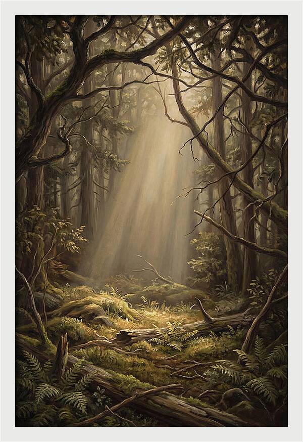 Forest Clearing With Shaft Of Light