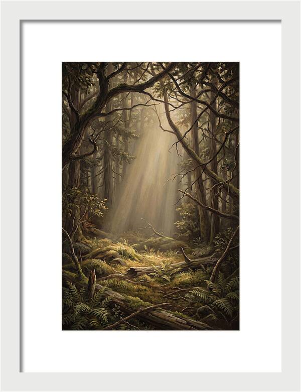 Forest Clearing With Shaft Of Light