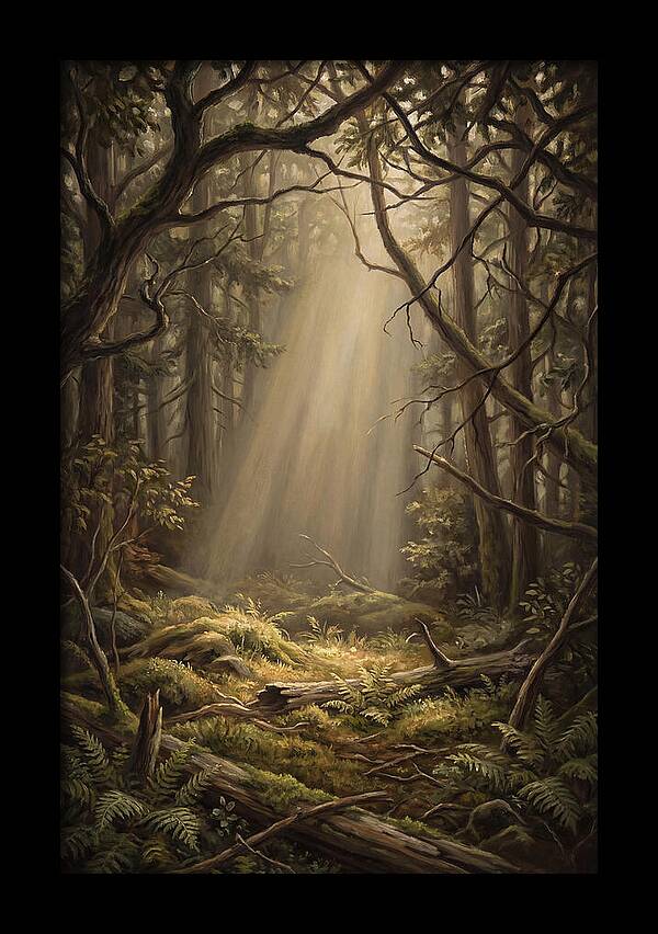 Forest Clearing With Shaft Of Light