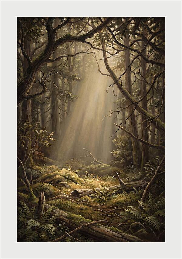 Forest Clearing With Shaft Of Light