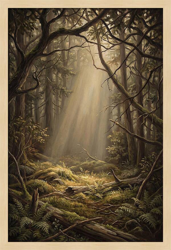 Forest Clearing With Shaft Of Light