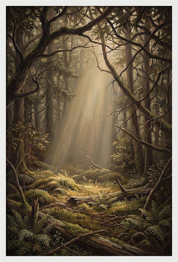 Forest Clearing With Shaft Of Light
