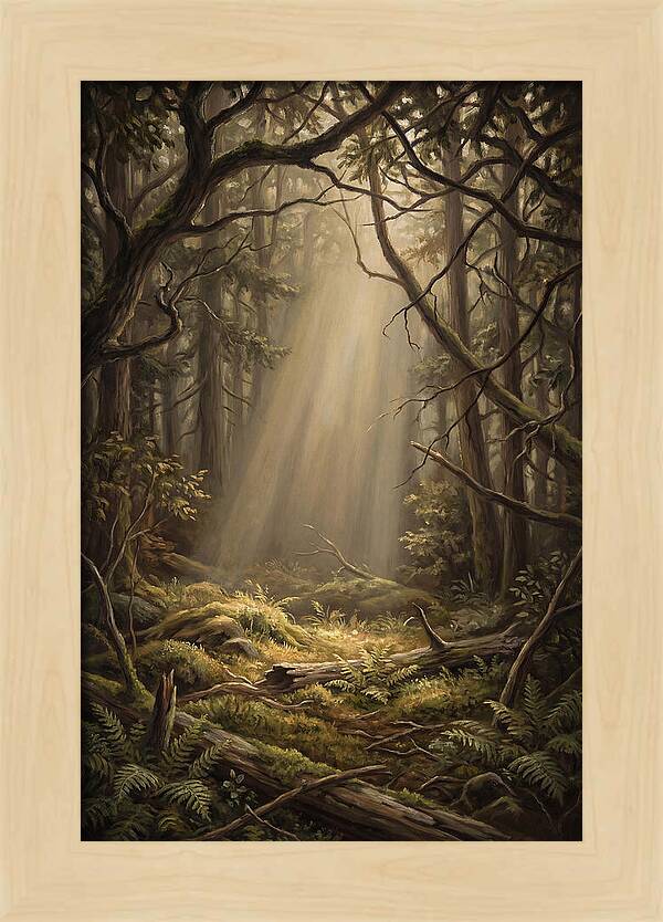Forest Clearing With Shaft Of Light