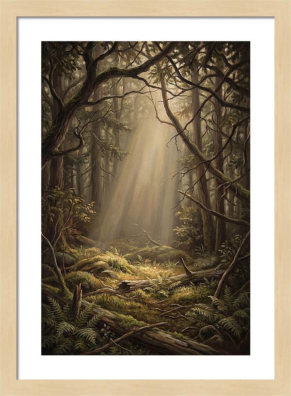 Forest Clearing With Shaft Of Light