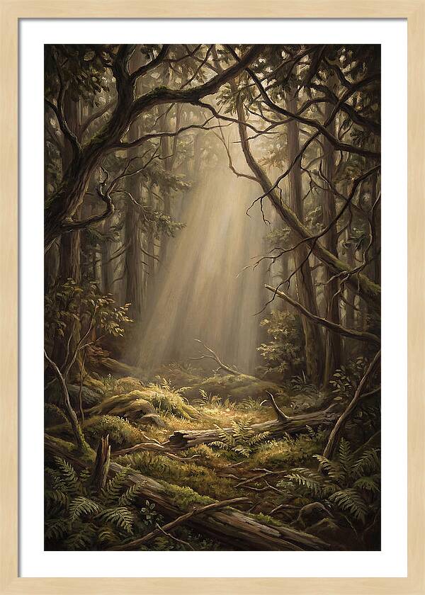 Forest Clearing With Shaft Of Light