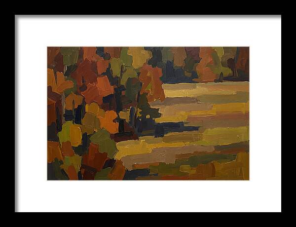 Forest Edge Where Woodland Meets Open Me
