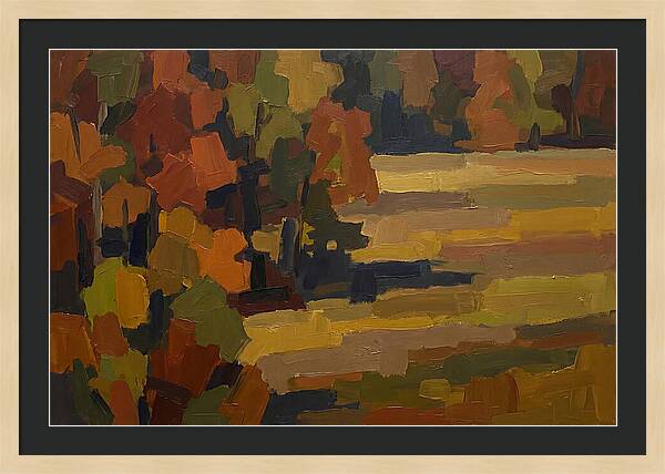 Forest Edge Where Woodland Meets Open Me