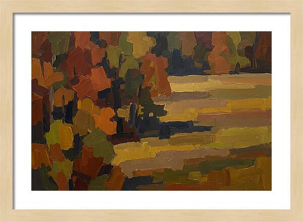 Forest Edge Where Woodland Meets Open Me