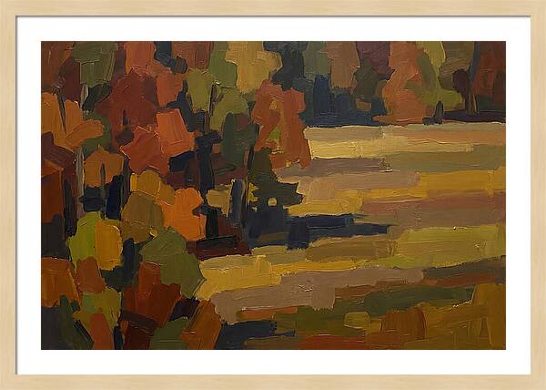 Forest Edge Where Woodland Meets Open Me
