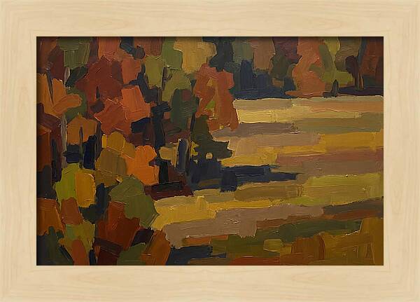 Forest Edge Where Woodland Meets Open Me