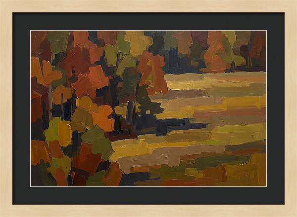 Forest Edge Where Woodland Meets Open Me