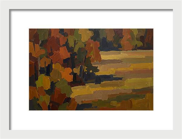 Forest Edge Where Woodland Meets Open Me