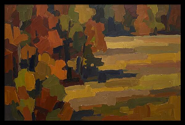 Forest Edge Where Woodland Meets Open Me