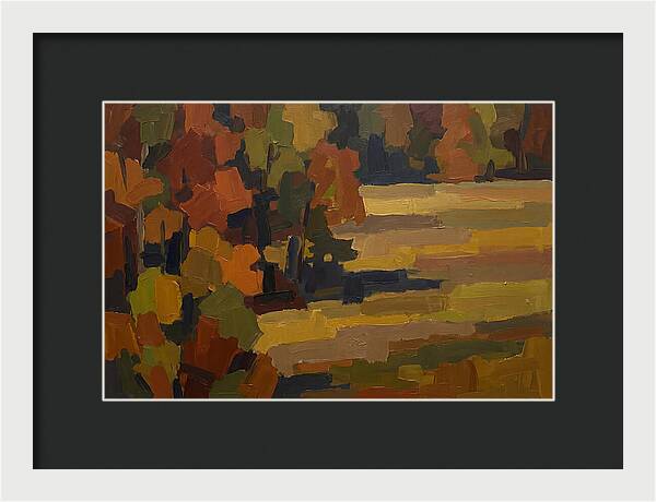 Forest Edge Where Woodland Meets Open Me