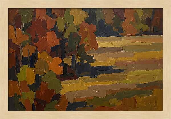 Forest Edge Where Woodland Meets Open Me