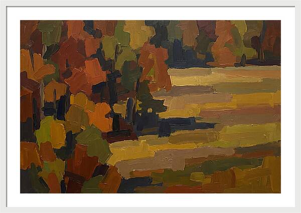 Forest Edge Where Woodland Meets Open Me