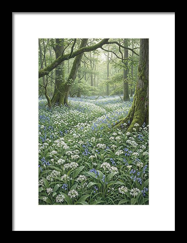 Forest Glade With Wild Garlic
