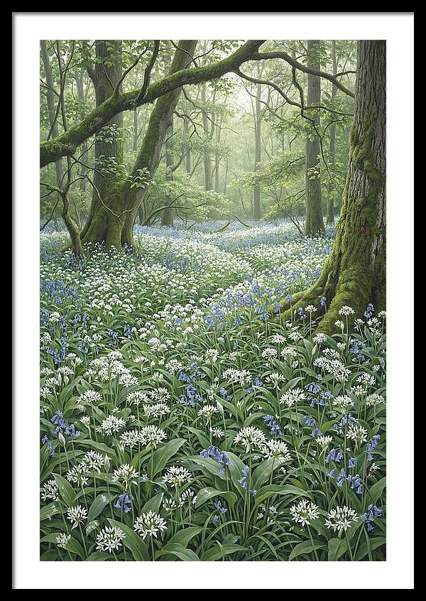 Forest Glade With Wild Garlic