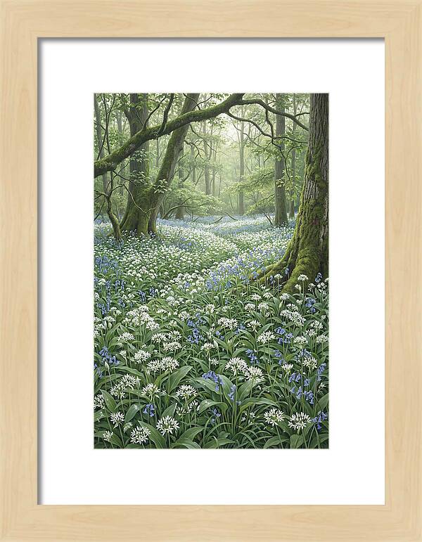 Forest Glade With Wild Garlic
