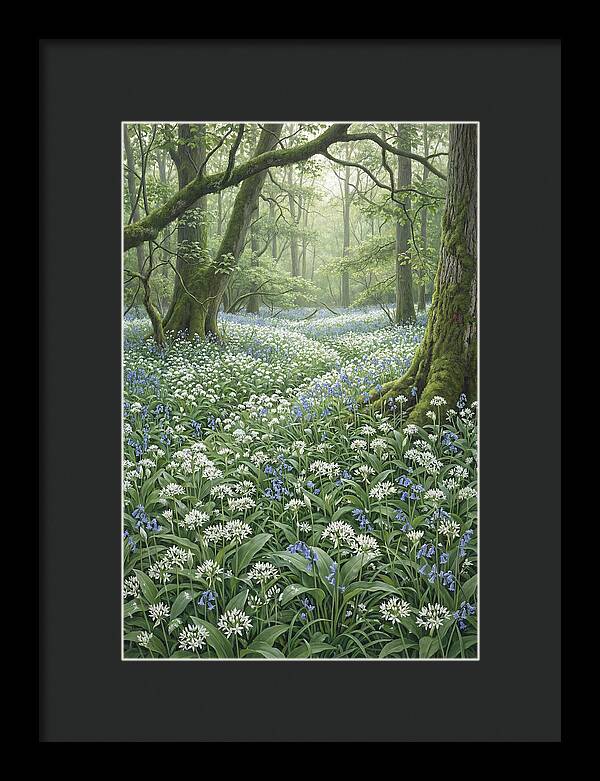 Forest Glade With Wild Garlic