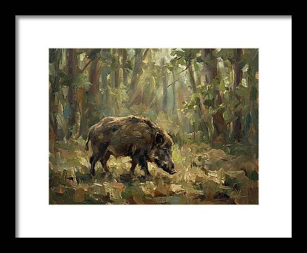 Forest Hog In Sunlit Woods