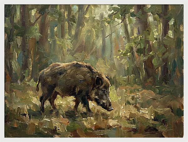 Forest Hog In Sunlit Woods