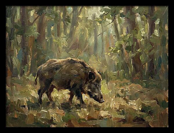 Forest Hog In Sunlit Woods