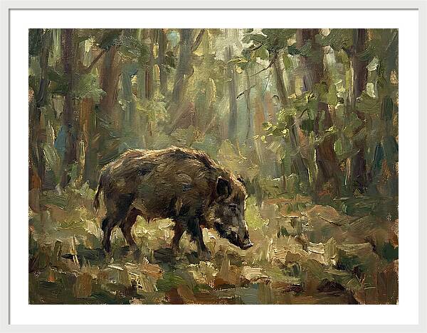 Forest Hog In Sunlit Woods