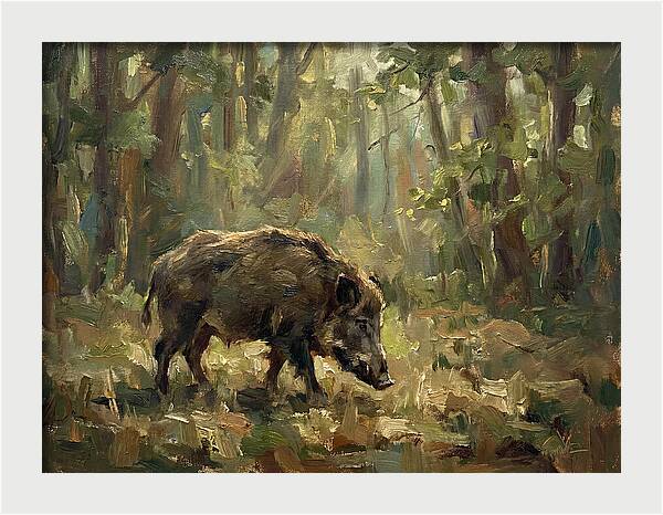 Forest Hog In Sunlit Woods