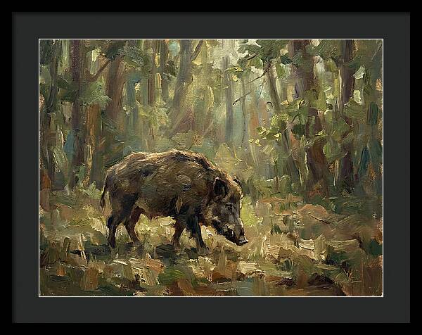 Forest Hog In Sunlit Woods